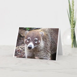 Tarjeta de felicitación del Coati