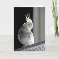 Tarjeta de felicitación del Cockatiel