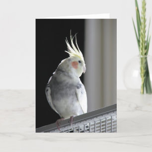 Tarjeta de felicitación del Cockatiel