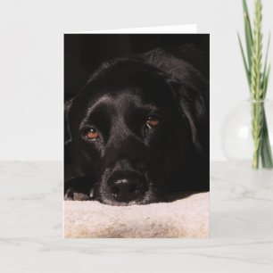 Tarjeta de felicitación del col