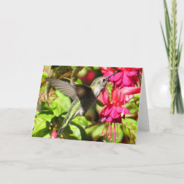 Tarjeta de felicitación del colibrí