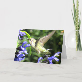 Tarjeta de felicitación del colibrí