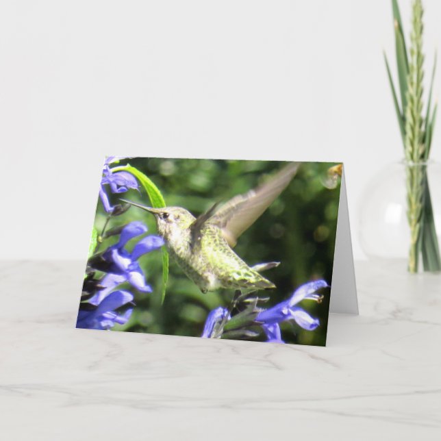 Tarjeta de felicitación del colibrí (Anverso)