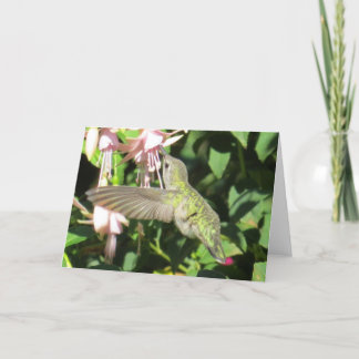Tarjeta de felicitación del colibrí