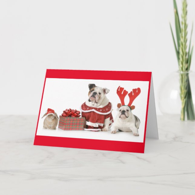 Tarjeta de felicitación del CONEJO Y de DOS (Anverso)