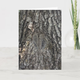 tarjeta de felicitación del corazón del árbol #1