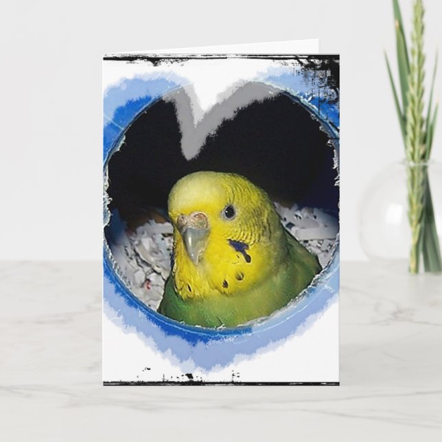 Tarjeta de felicitación del corazón del pájaro del (Anverso)