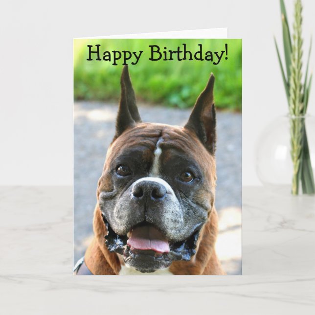 Tarjeta de felicitación del cumpleaños Boxer (Anverso)