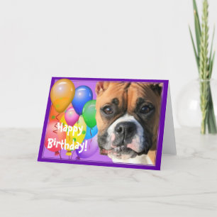 Tarjeta de felicitación del cumpleaños Boxer