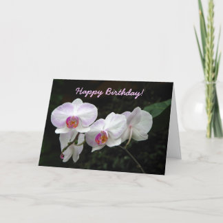 Tarjeta de felicitación del cumpleaños de la