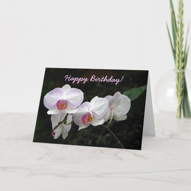 Tarjeta de felicitación del cumpleaños de la (Anverso)