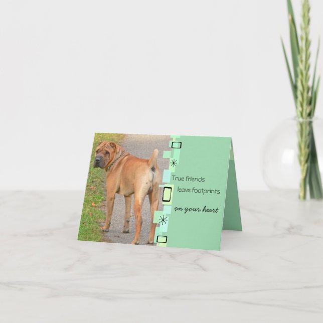 Tarjeta de felicitación del cumpleaños de Shar Pei (Anverso)