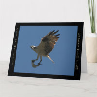 Tarjeta de felicitación del cumpleaños del pájaro