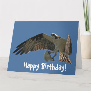 Tarjeta de felicitación del cumpleaños del pájaro