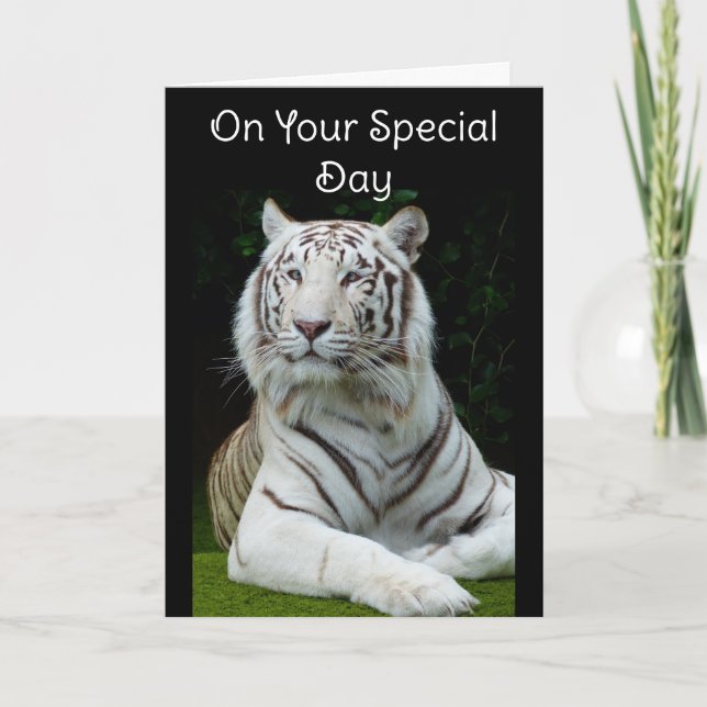 Tarjeta de felicitación del cumpleaños del tigre b (Anverso)