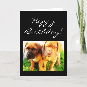 Tarjeta de felicitación del cumpleaños Dogue de Bu