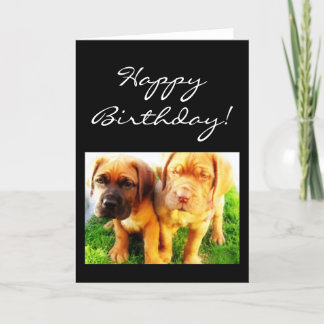Tarjeta de felicitación del cumpleaños Dogue de Bu