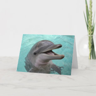 Tarjeta de felicitación del delfín