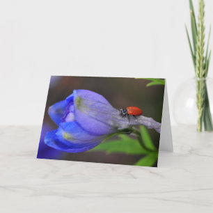 Tarjeta de felicitación del Delphinium