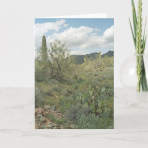 Tarjeta de felicitación del desierto de color de C