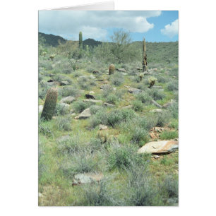Tarjeta de felicitación del desierto o tarjeta de