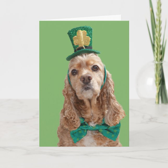 Tarjeta de felicitación del día de cocker spaniel (Anverso)