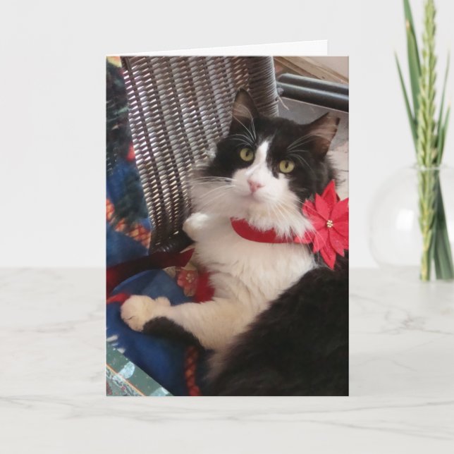 Tarjeta de felicitación del día de fiesta de (Anverso)