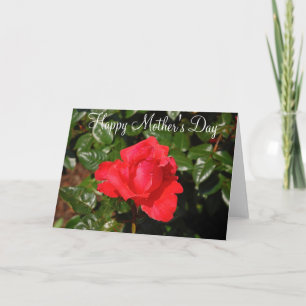 Tarjeta de felicitación del Día de la Madre con ro