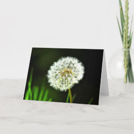 Tarjeta de felicitación del diente de león,