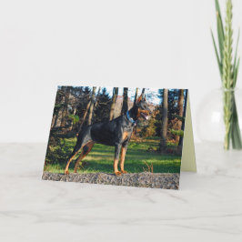 Tarjeta de felicitación del Doberman
