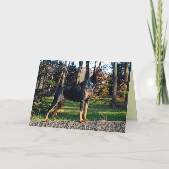 Tarjeta de felicitación del Doberman (Anverso)