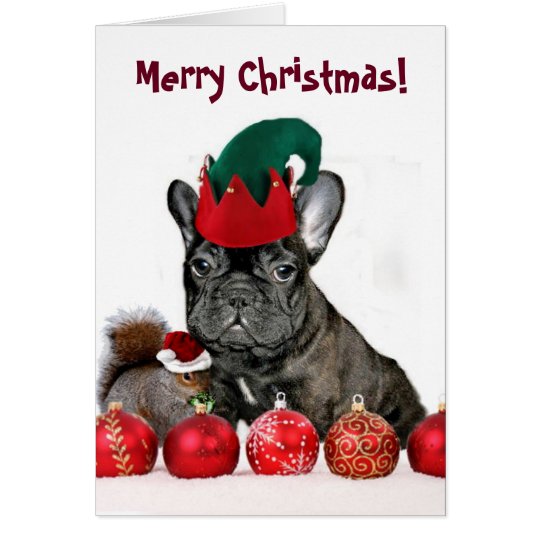 Tarjeta de felicitación del dogo francés del