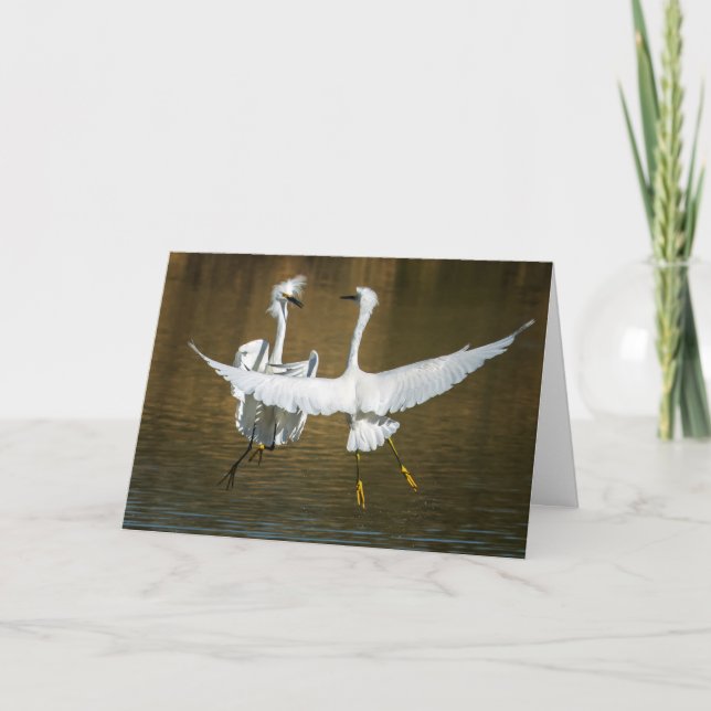 Tarjeta de felicitación del Egret nevado (Anverso)
