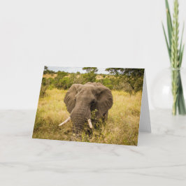 Tarjeta de felicitación del elefante