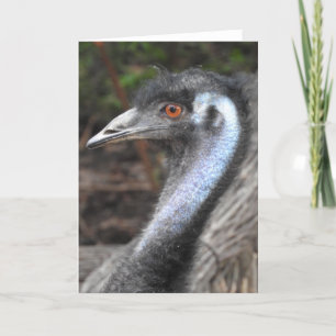 Tarjeta de felicitación del Emu
