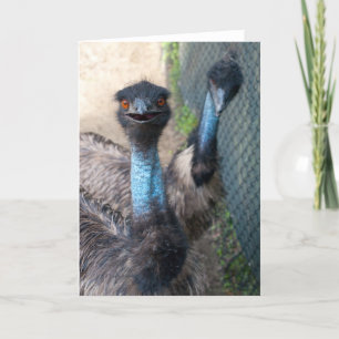 Tarjeta de felicitación del Emu