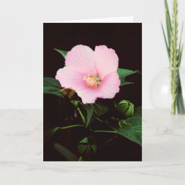 Tarjeta de felicitación del espacio en blanco de