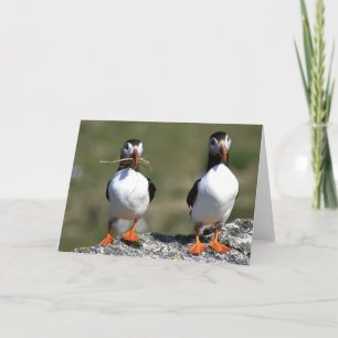 Tarjeta de felicitación del espacio en blanco de