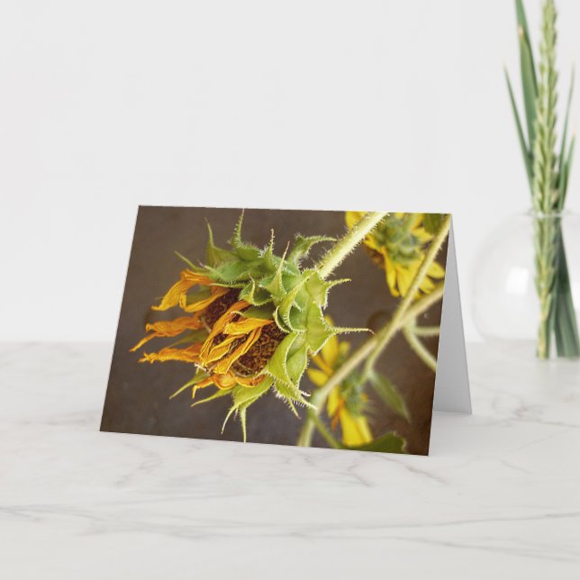 Tarjeta de felicitación del espacio en blanco del (Anverso)