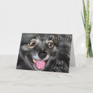 Tarjeta de felicitación del feliz cumpleaños del