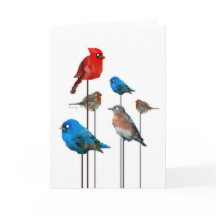 Tarjeta de felicitación del fiesta del pájaro