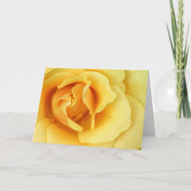 Tarjeta de felicitación del flor del rosa amarillo (Anverso)