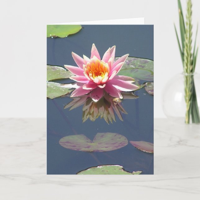 Tarjeta de felicitación "del flor rosado de Lotus" (Anverso)