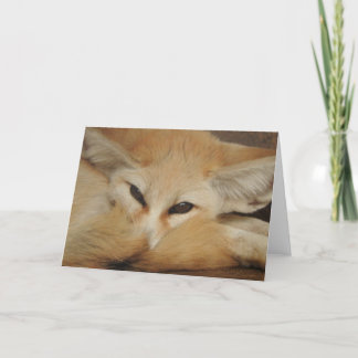Tarjeta de felicitación del Fox de Fennec