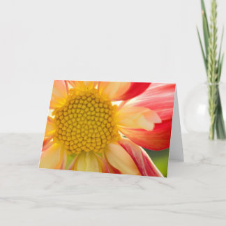 Tarjeta de felicitación del fuego de la flor