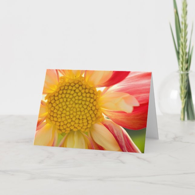 Tarjeta de felicitación del fuego de la flor (Anverso)
