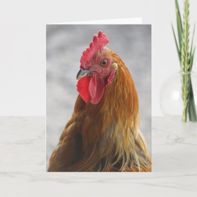 Tarjeta de felicitación del gallo (Anverso)