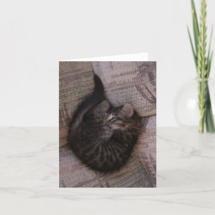 Tarjeta de felicitación del gatito de la yoga