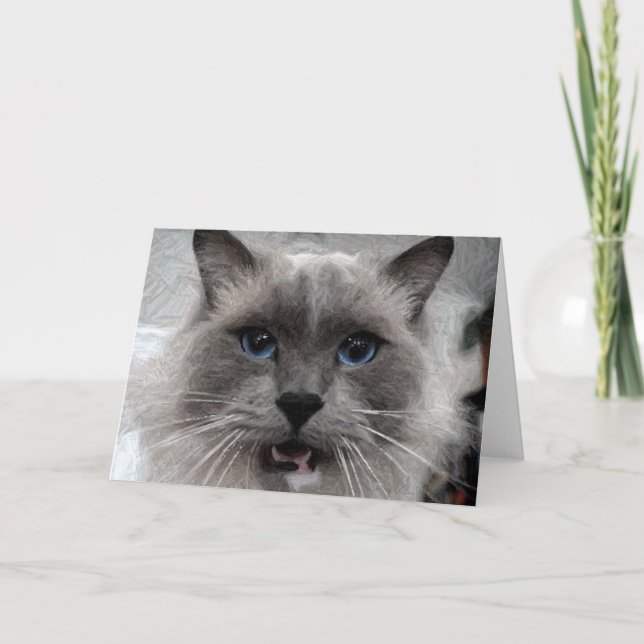 Tarjeta de felicitación del gato (Anverso)