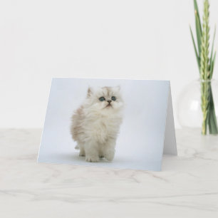 Tarjeta de felicitación del gato